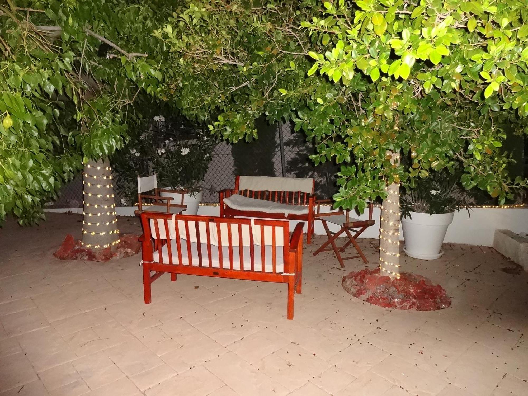 Las Palomas, Appartement 3 Chambres Avec Piscine Turís المظهر الخارجي الصورة