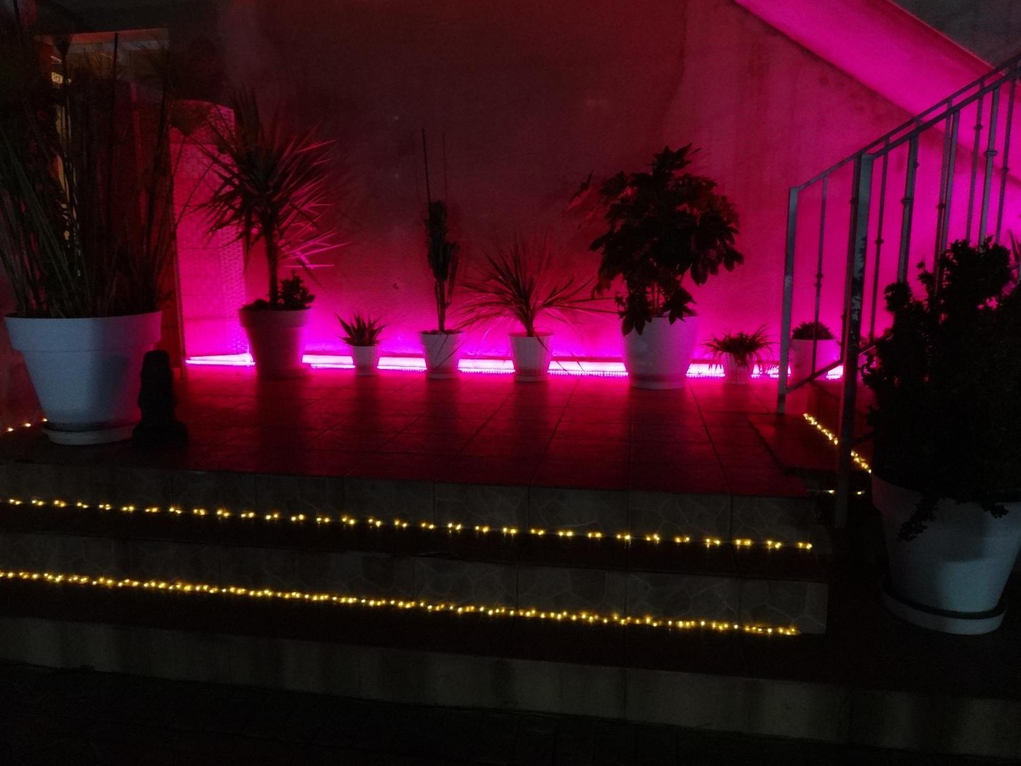 Las Palomas, Appartement 3 Chambres Avec Piscine Turís المظهر الخارجي الصورة